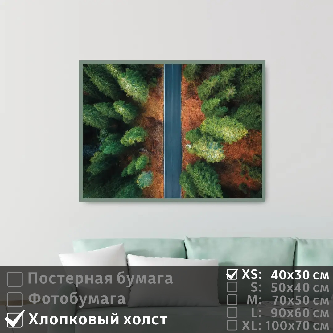 

Постер на холсте ПолиЦентр Над шоссе через леса 40х30 см, НадШоссеЧерезЛеса