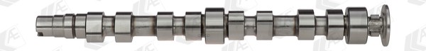 

Распредвал AE CAM925, CAM925