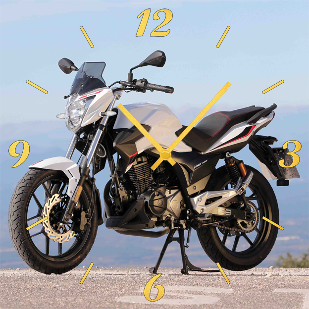 

SvS SvS 3501828