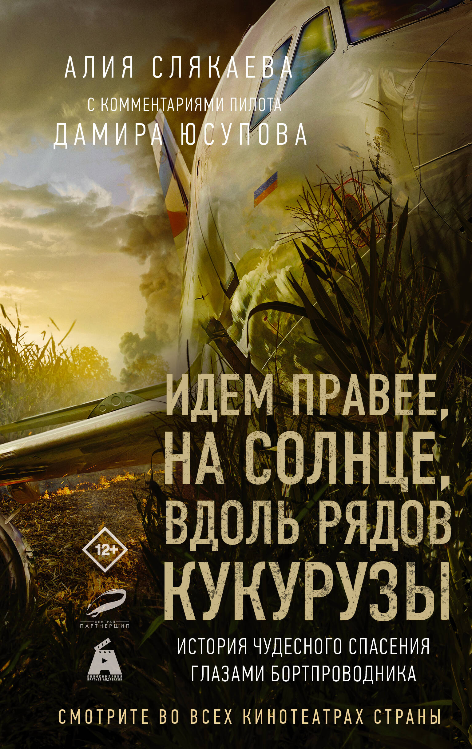 

Идем правее, на солнце, вдоль рядов кукурузы. История чудесного спасения