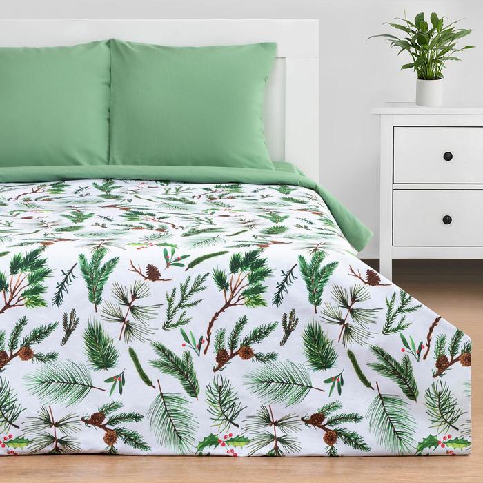 

Постельное белье Этель 1.5 сп Еловые ветви 143x215 , 150x214 , 70x70 - 2 шт., 000418255