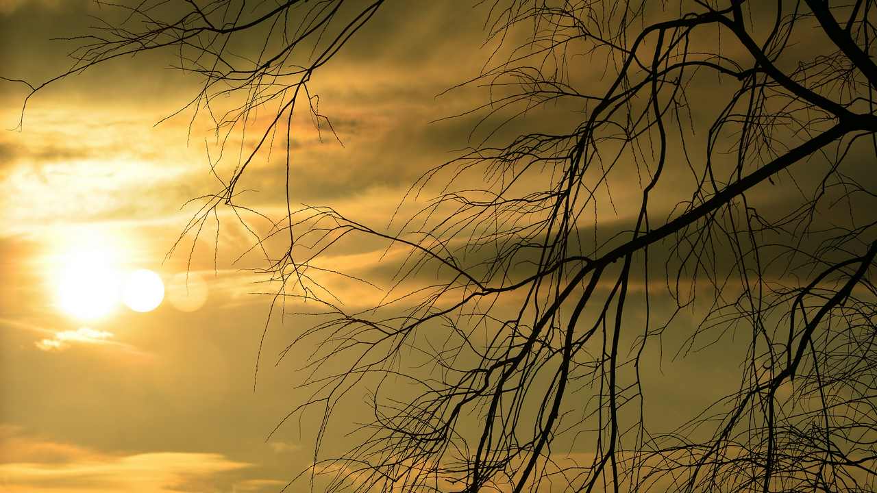 холодный ветер 4 буквы