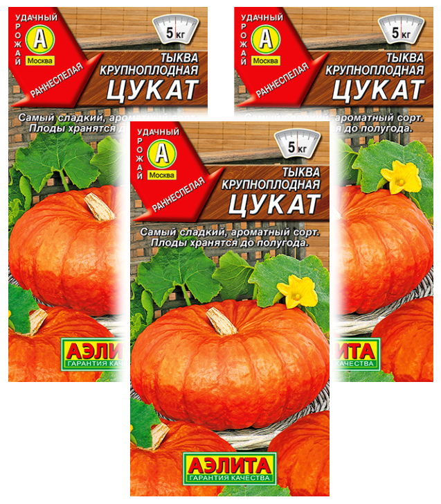 

Семена тыква Аэлита Цукат 93611 3 уп., Тыква