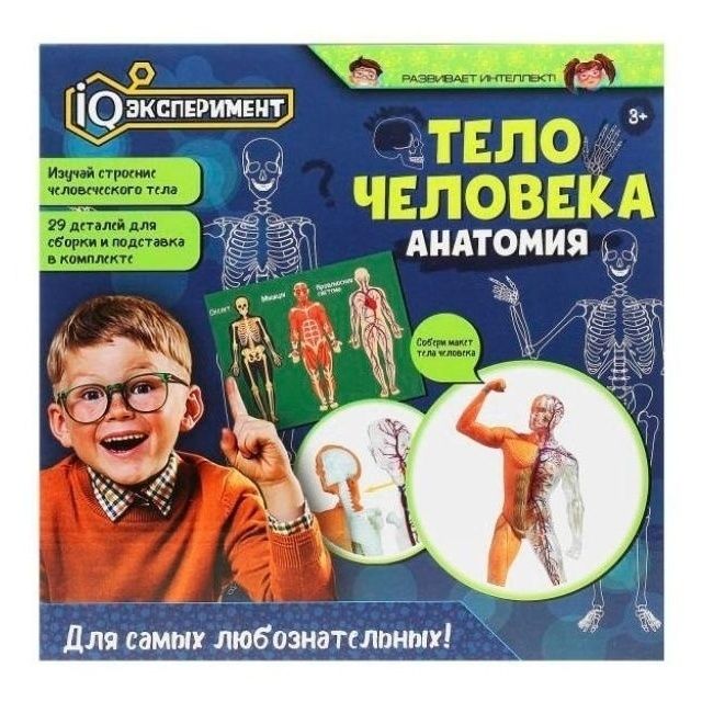 

Настольная игра опыты тело человека IQ-эксперимент