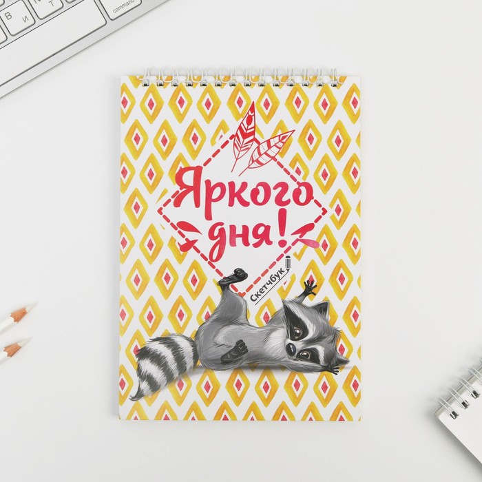 

Скетчбук Енот А5, 40 л, 100 г/м