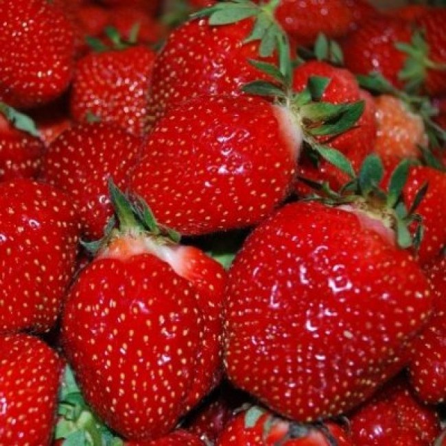 

Рассада земляника Верити AGROVIDA agrovida-2038ЗКС 5 шт.