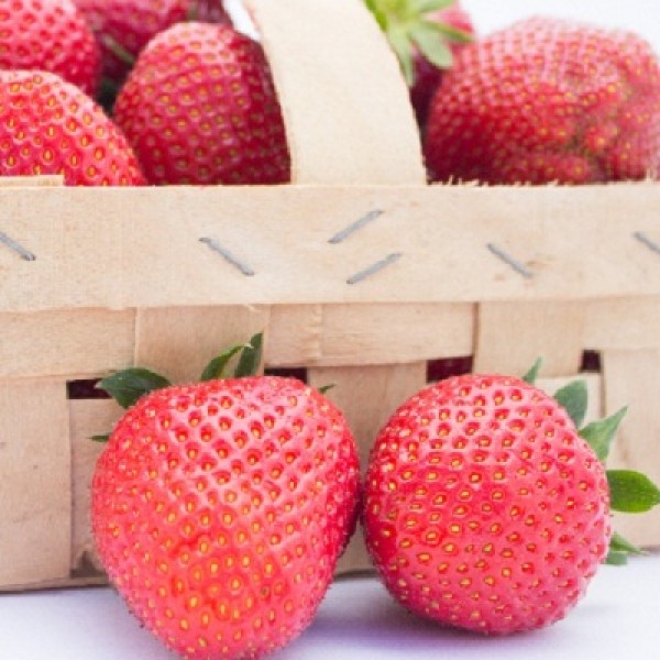

Рассада земляника Фейт AGROVIDA agrovida-2137ЗКС 5 шт.
