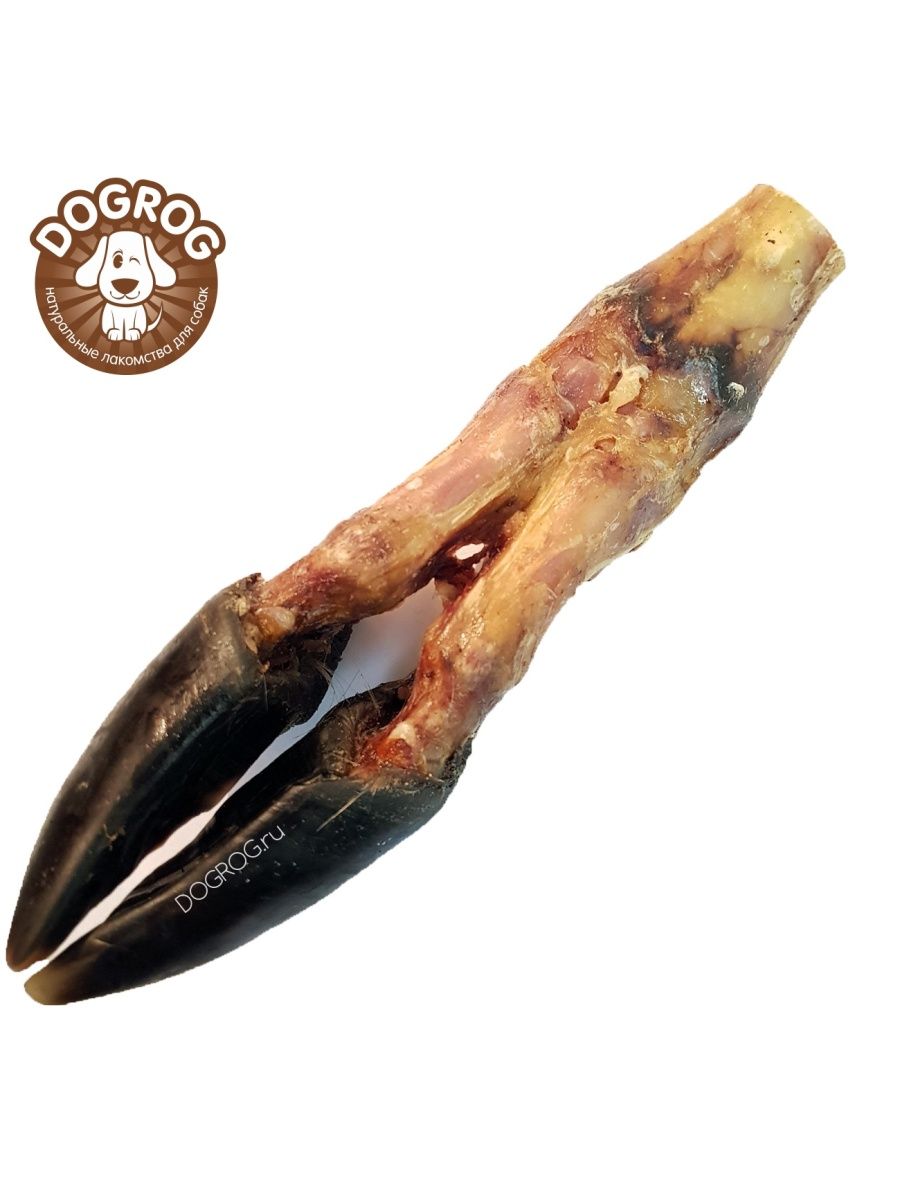 

Копыто лося вяленое для собак DOGROG, 1 шт, копыто-лося