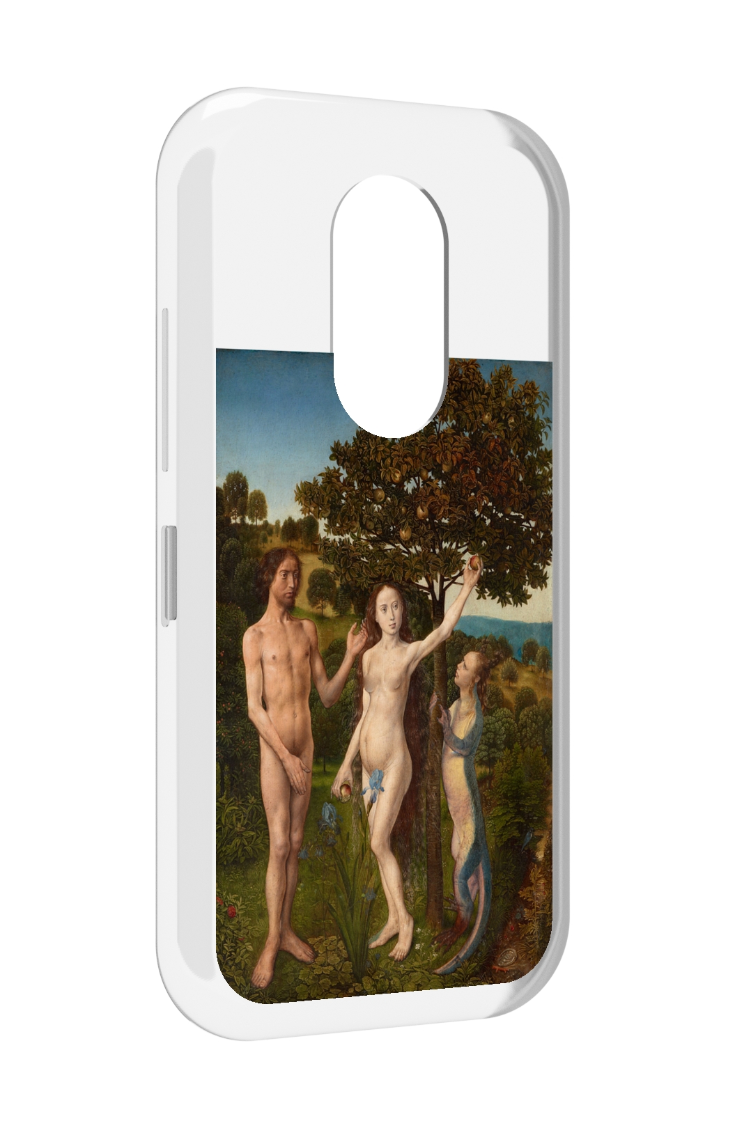 

Чехол MyPads грехопадение для Doogee S61 / S61 Pro, Прозрачный, Tocco
