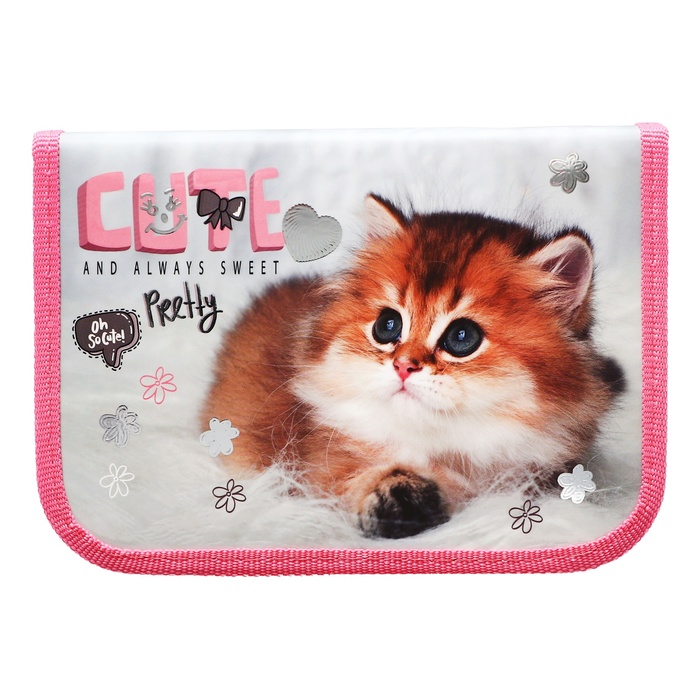 

Пенал Оникс, Cute kitty 69822, 1 секция, 130 х 190 х 27 мм, ламинированный картон