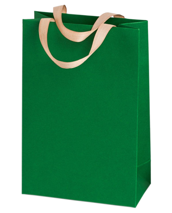 

Пакет подарочный зеленый, А4, 23 х 33 х 10 см, 4 23 33 10