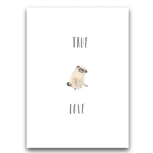 

Открытка Pug Love, Белый;бежевый, Pug Love