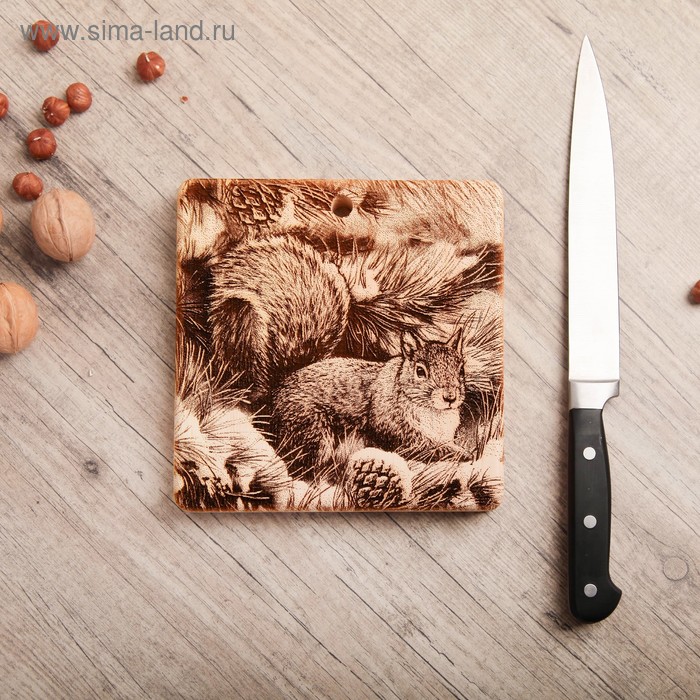 

Доска из массива кедра «Белочка на ветке», квадратная, 18x18 см, Коричневый