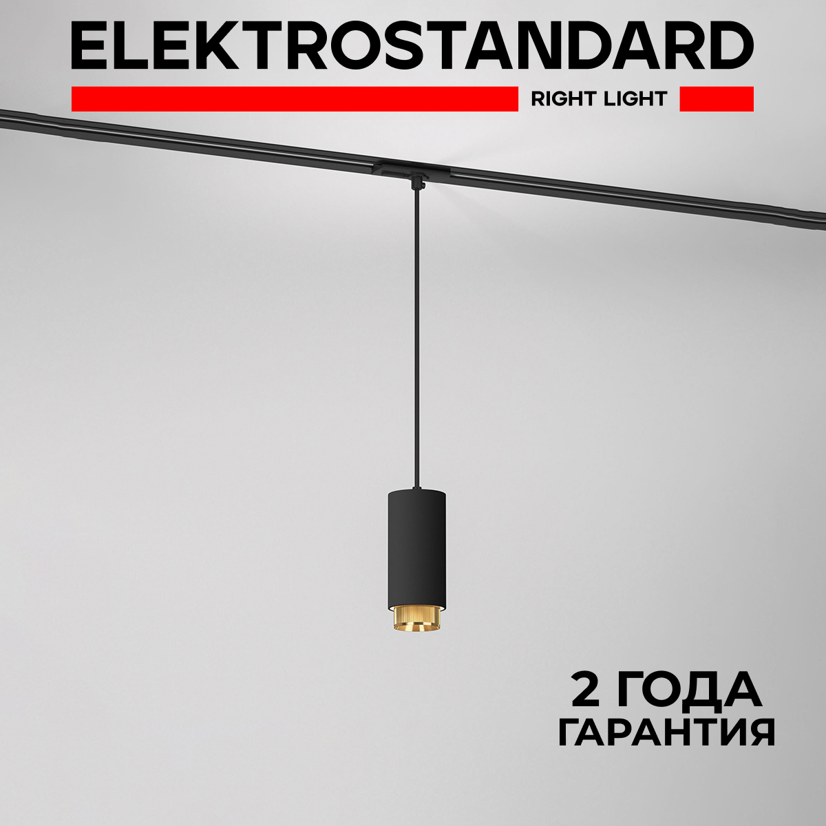 

Трековый однофазный подвесной светильник Elektrostandard Nubis 85021/01 черный/золото GU10, Nubis