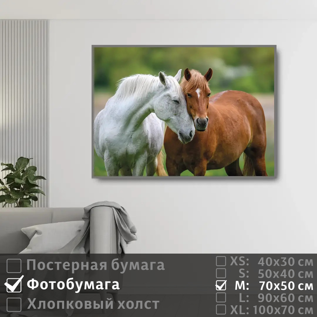 

Постер на фотобумаге ПолиЦентр Две лошади 70х50 см, ДвеЛошади