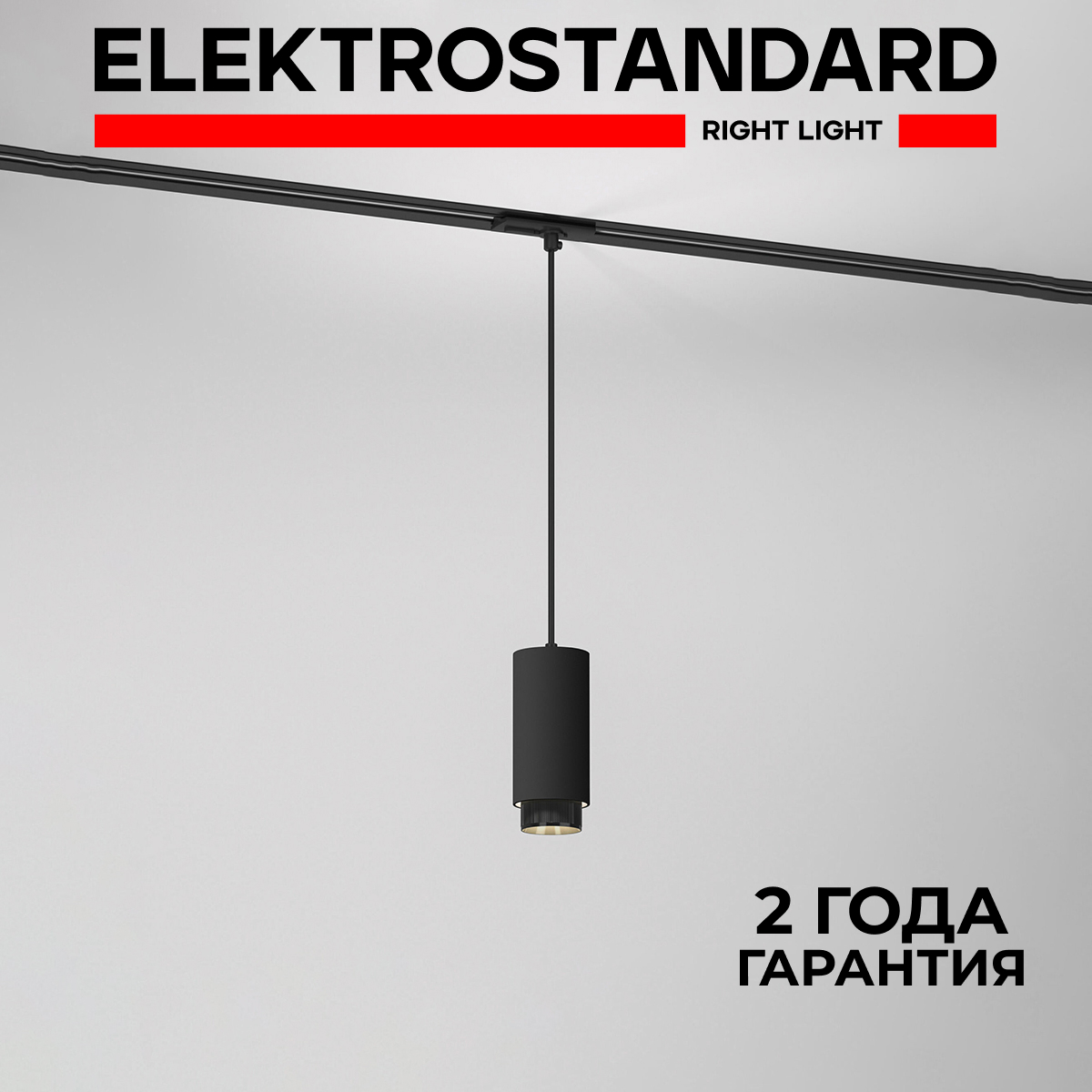 

Трековый однофазный подвесной светильник Elektrostandard Nubis 85021/01 черный GU10, Nubis