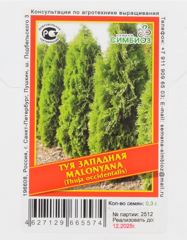 Туя западная «Malonyana» - 0,3 г