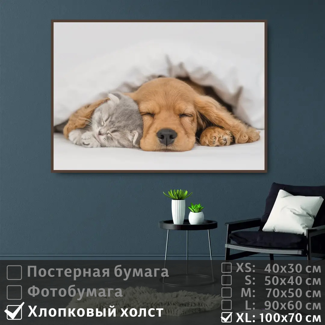 

Постер на холсте ПолиЦентр Спящие котенок и щенок 100х70 см, СпящиеКотенокИЩенок1