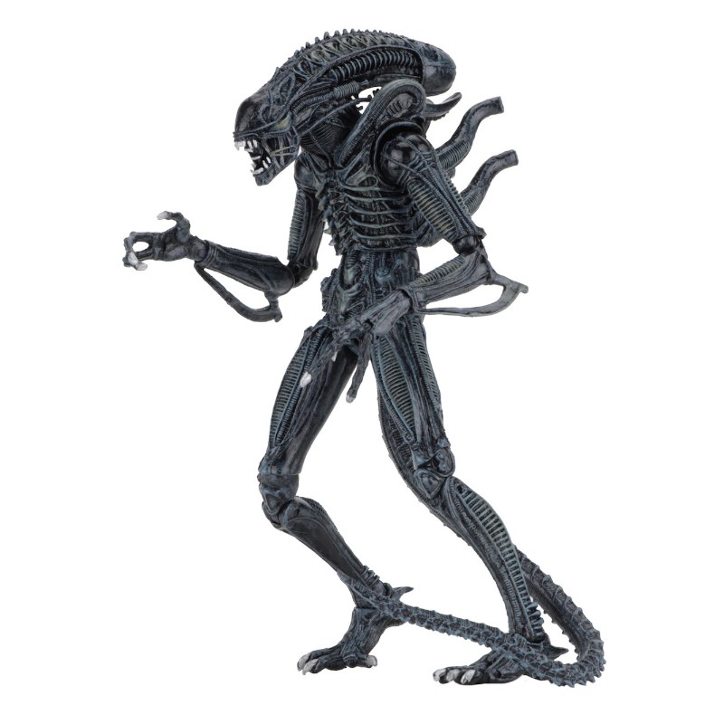 фото Фигурка neca alien чужие - xenomorph warrior blue (25 см)