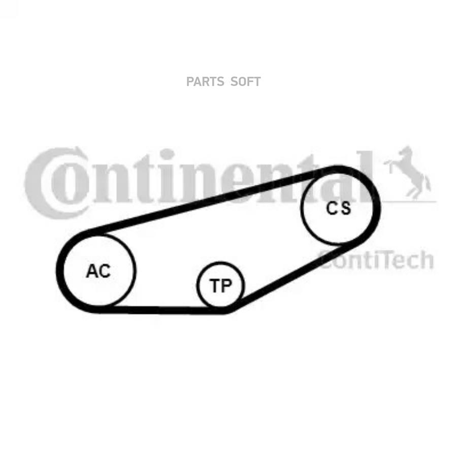 

CONTITECH 4PK855K1 Комплект поликлинового ремня