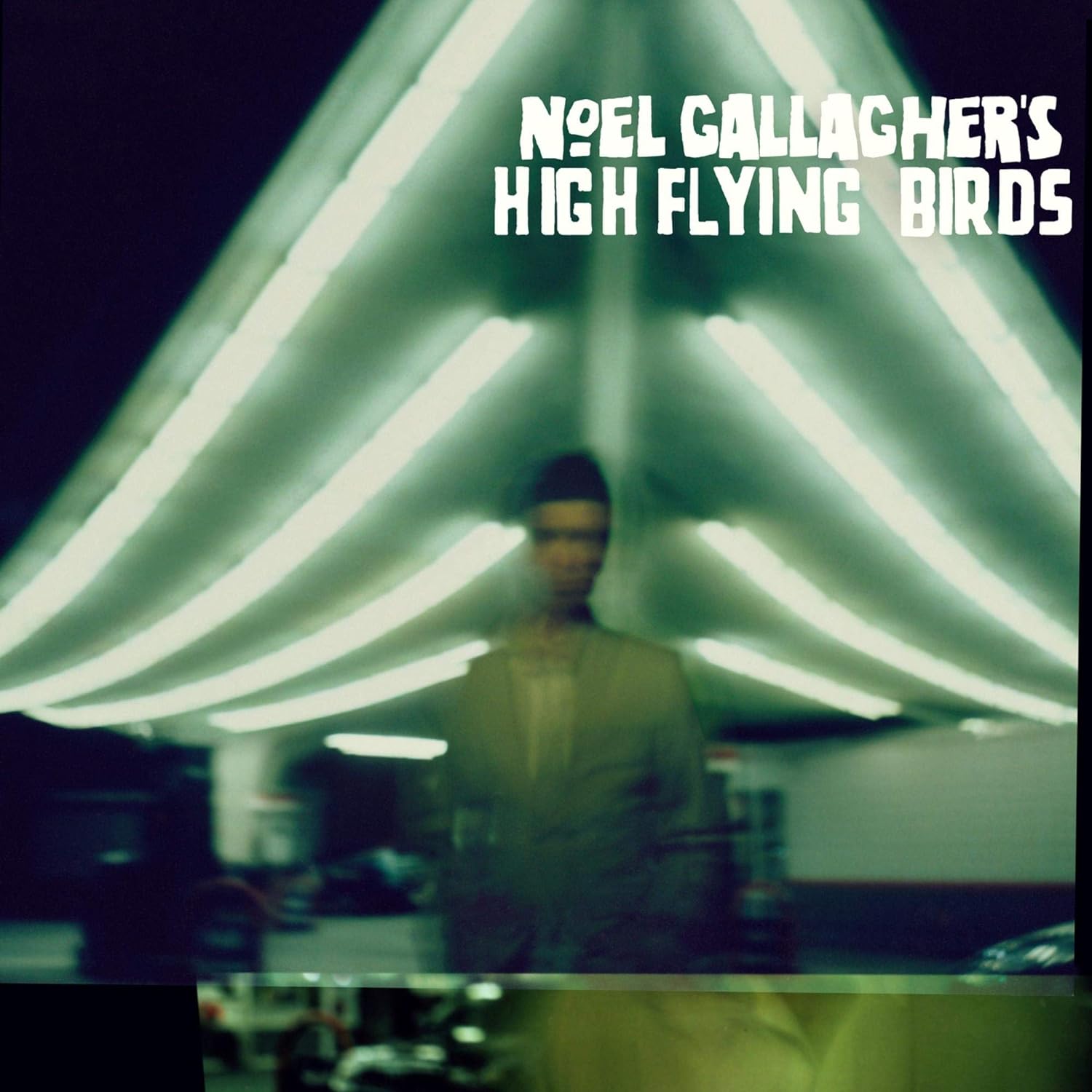 

Noel Gallaghers High Flying Birds Noel Gallaghers High Flying Birds (CD+DVD)