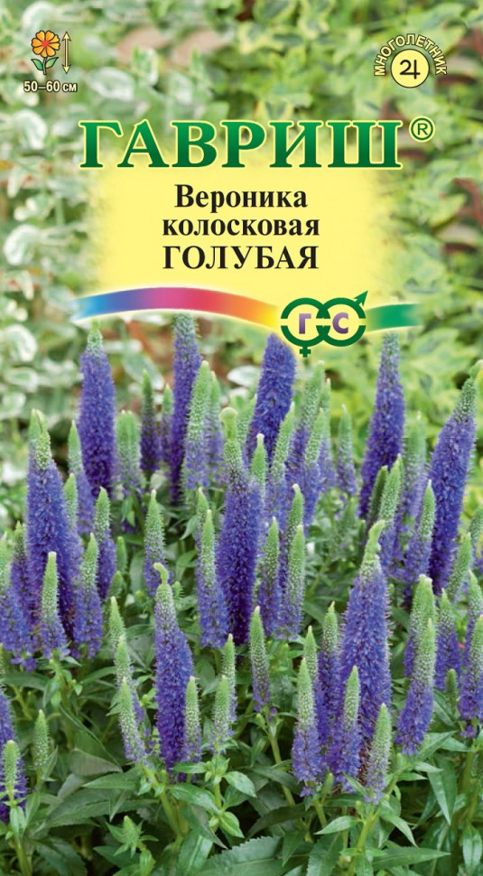 

Семена вероника Голубая Гавриш 1071857735-10 1 уп.