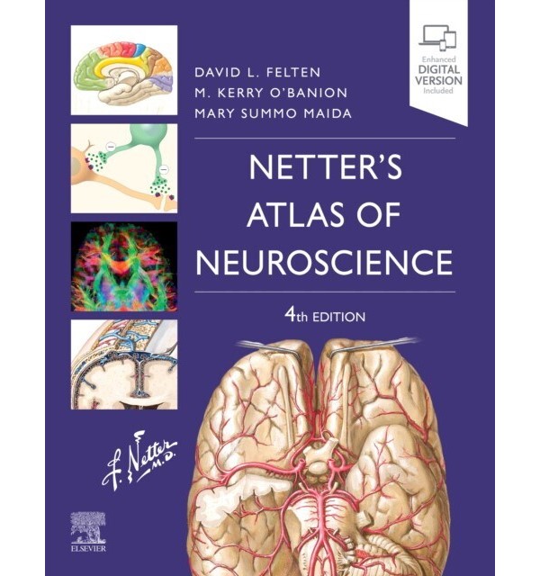 

Netter`s atlas of neuroscience, 4 ed.. Felten, David L. O`banion, Micha. Mary Summo Maida