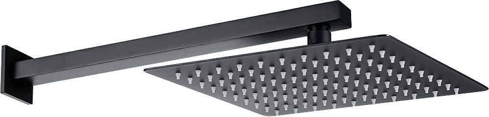 

Верхний душ Allen Brau Infinity 5.21019-31 чёрный матовый