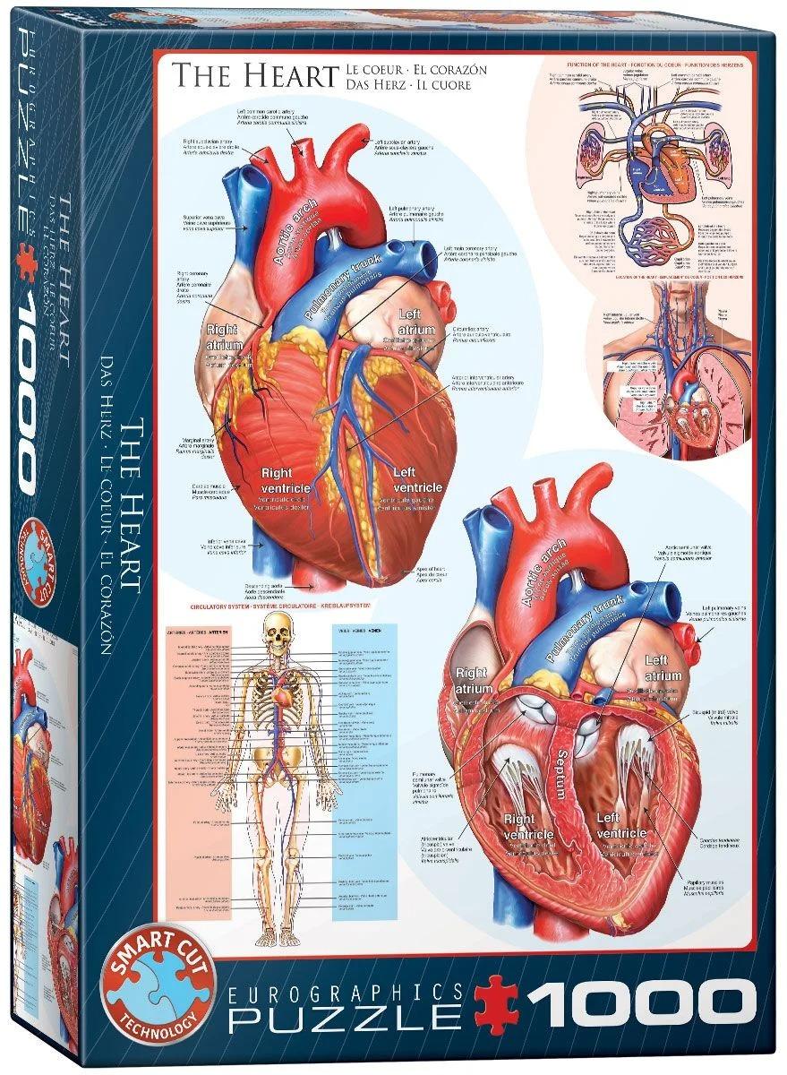 

Пазл Eurographics Сердце 1000 деталей, EG: Hobby&Educational