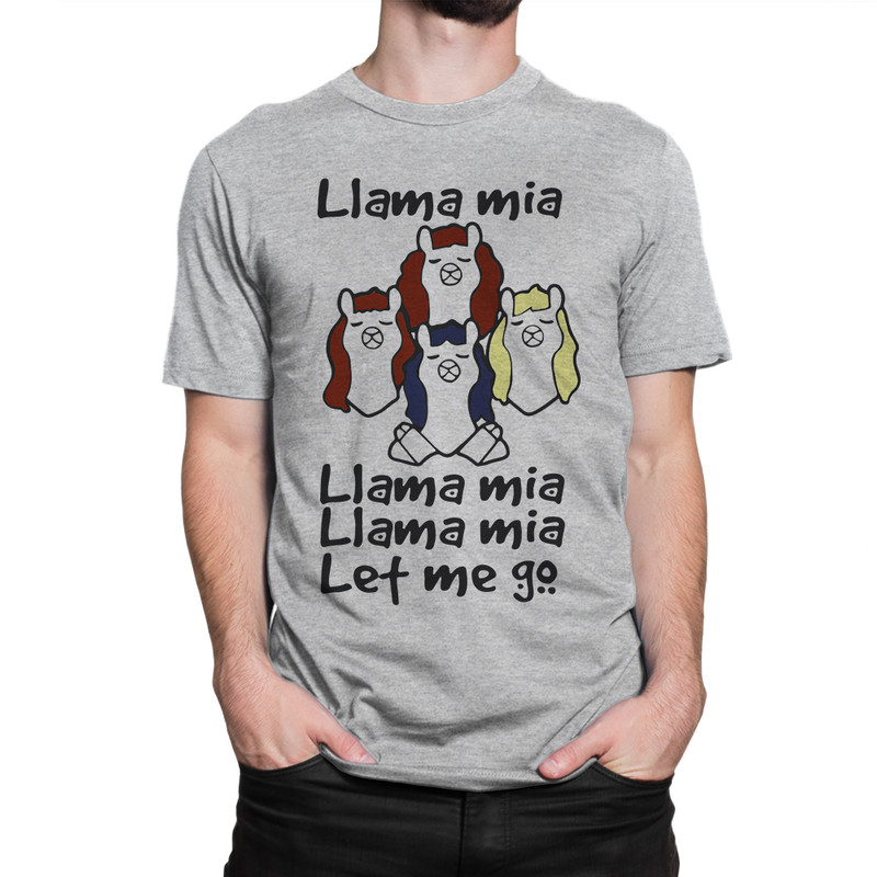 Футболка мужская Dream Shirts Лама Мия - Богемская Рапсодия серая 2XL