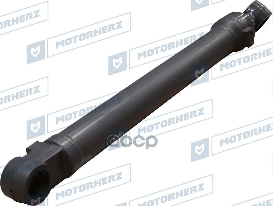 

Гидроцилиндр Рукояти Motorherz арт. 100AA0038ZZ
