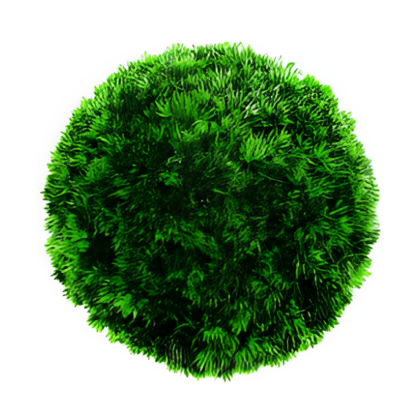 фото Полушар из искусственной травы/ декоративный шар/ зеленый шар/шар растительный, 48х18см. buyhouse