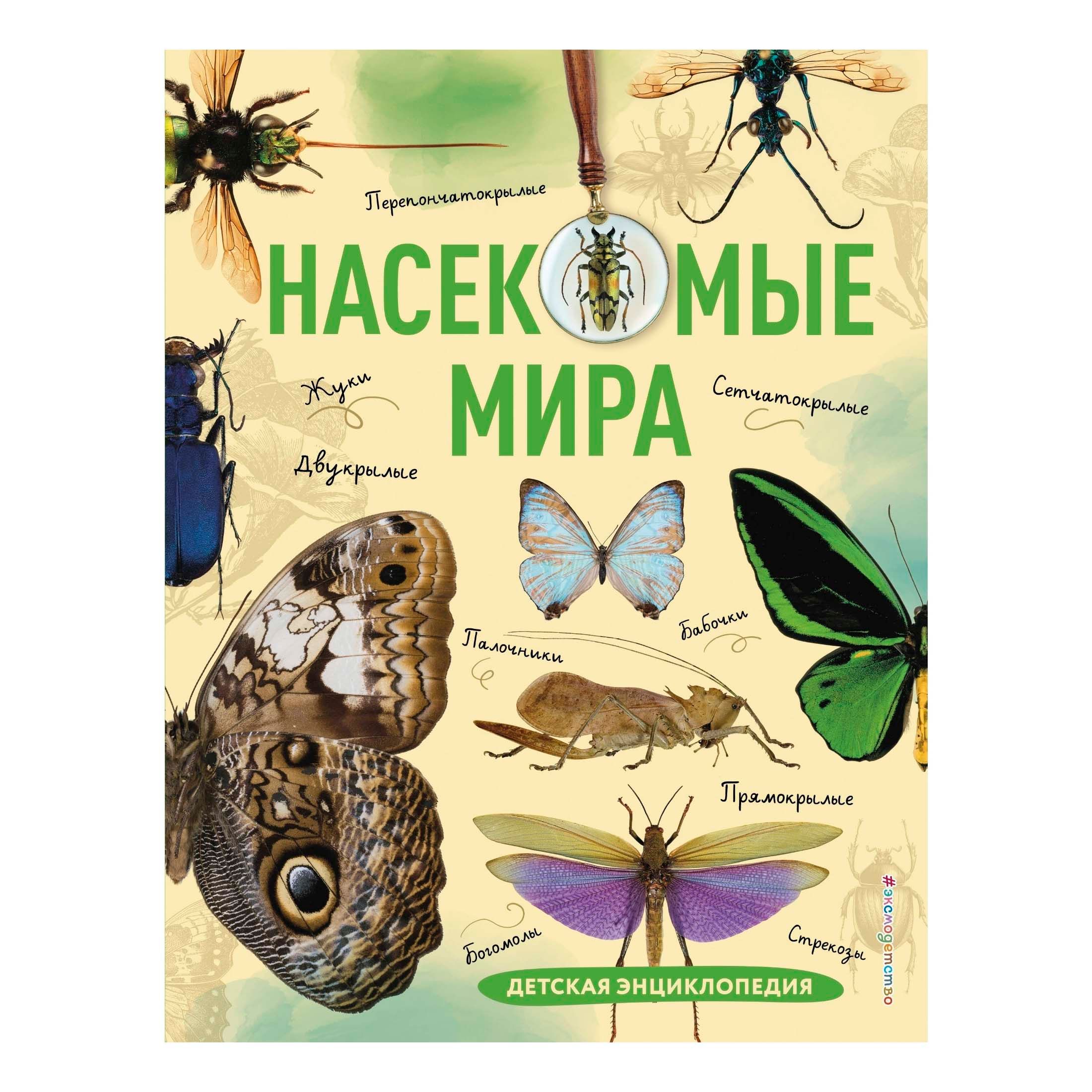 

Насекомые мира Детская энциклопедия Сочивко А.