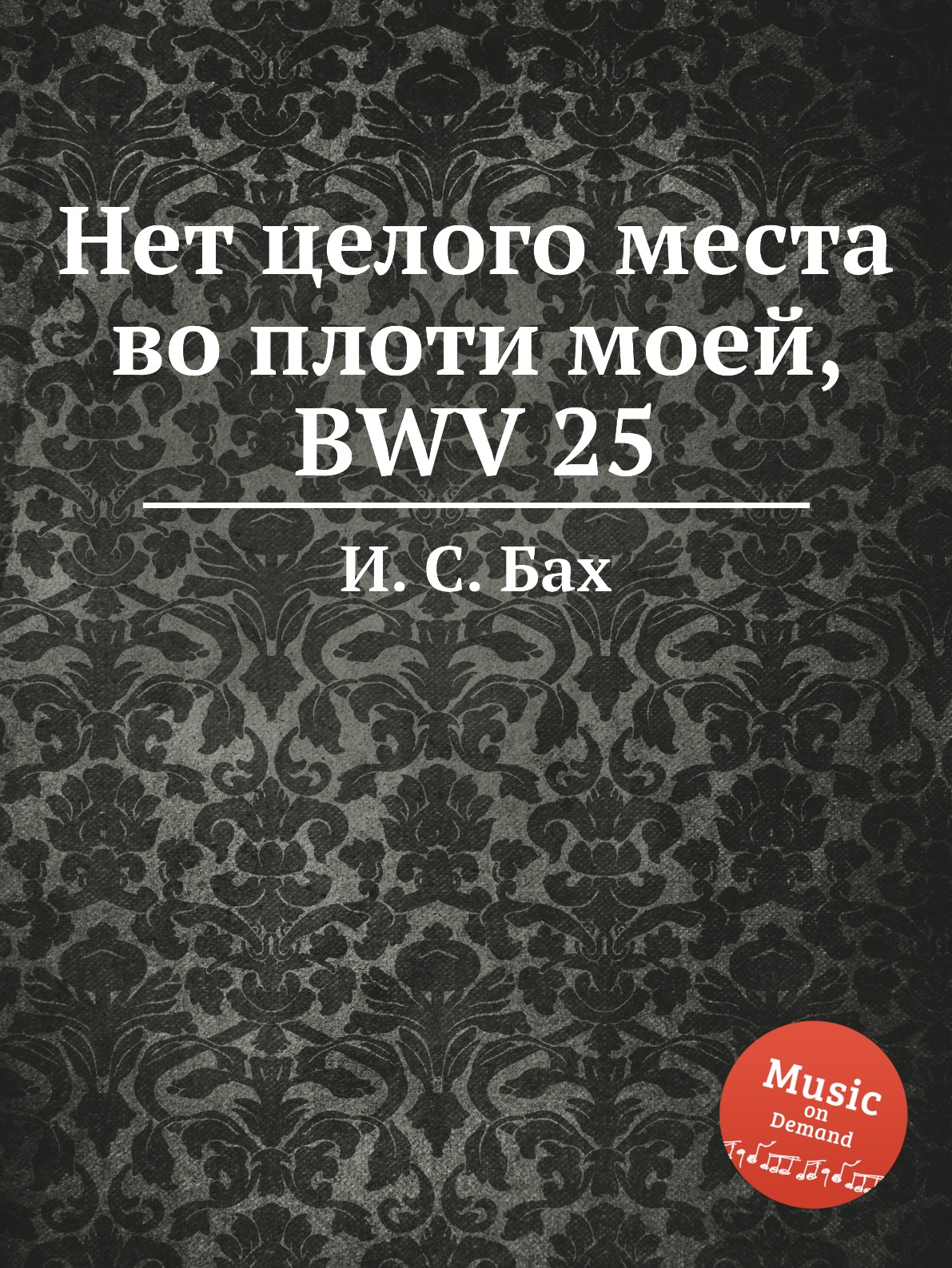 

Книга Нет целого места во плоти моей, BWV 25