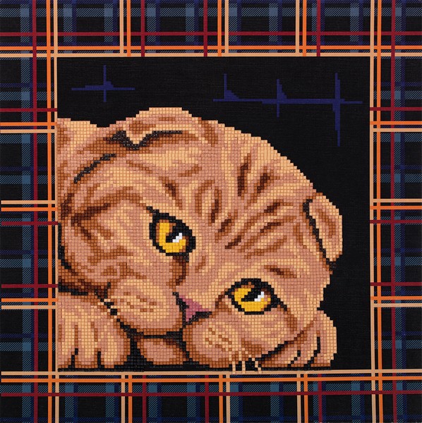 

Фрея Алмазная вышивка Шотландская кошка ALBP-293, 30x30 см