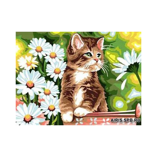 

Канва с рисунком MARGOT 'Кот в ромашках' 40*50 см MRC1531-404