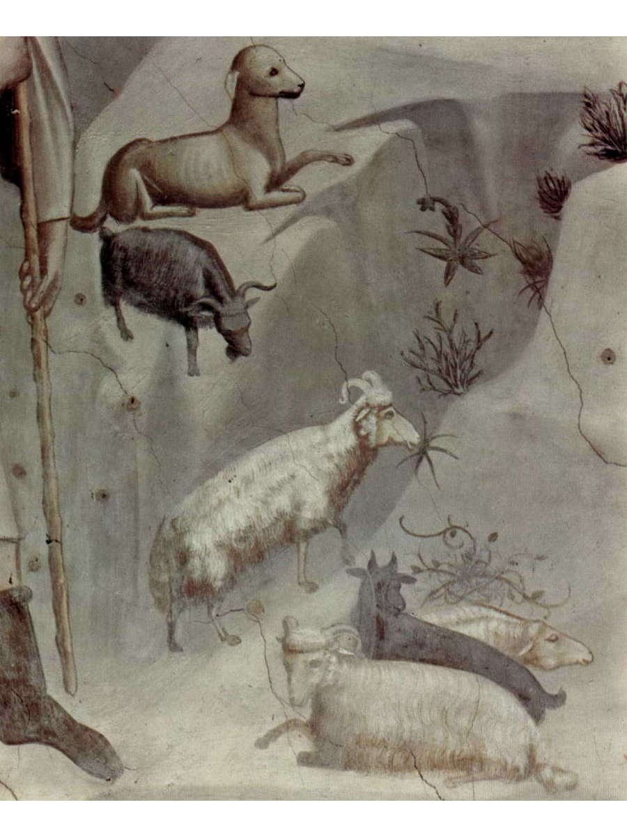 

Постер DRABS A3 100949205