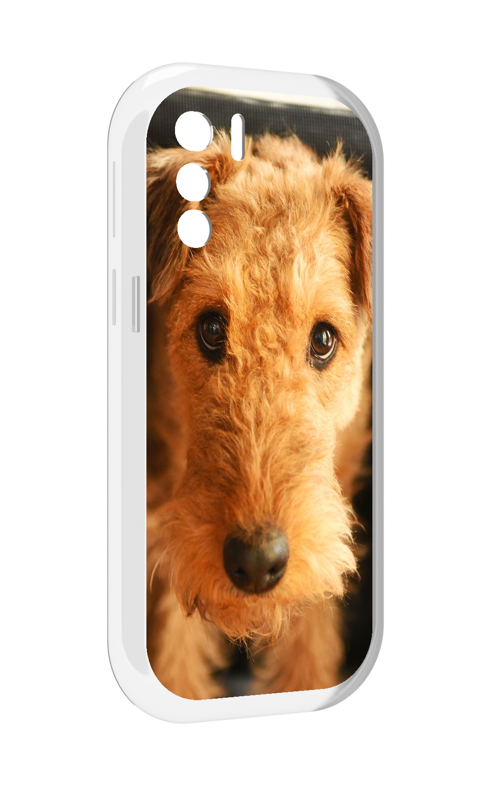 

Чехол MyPads эрдельтерьер для UleFone Note 13P, Прозрачный, Tocco