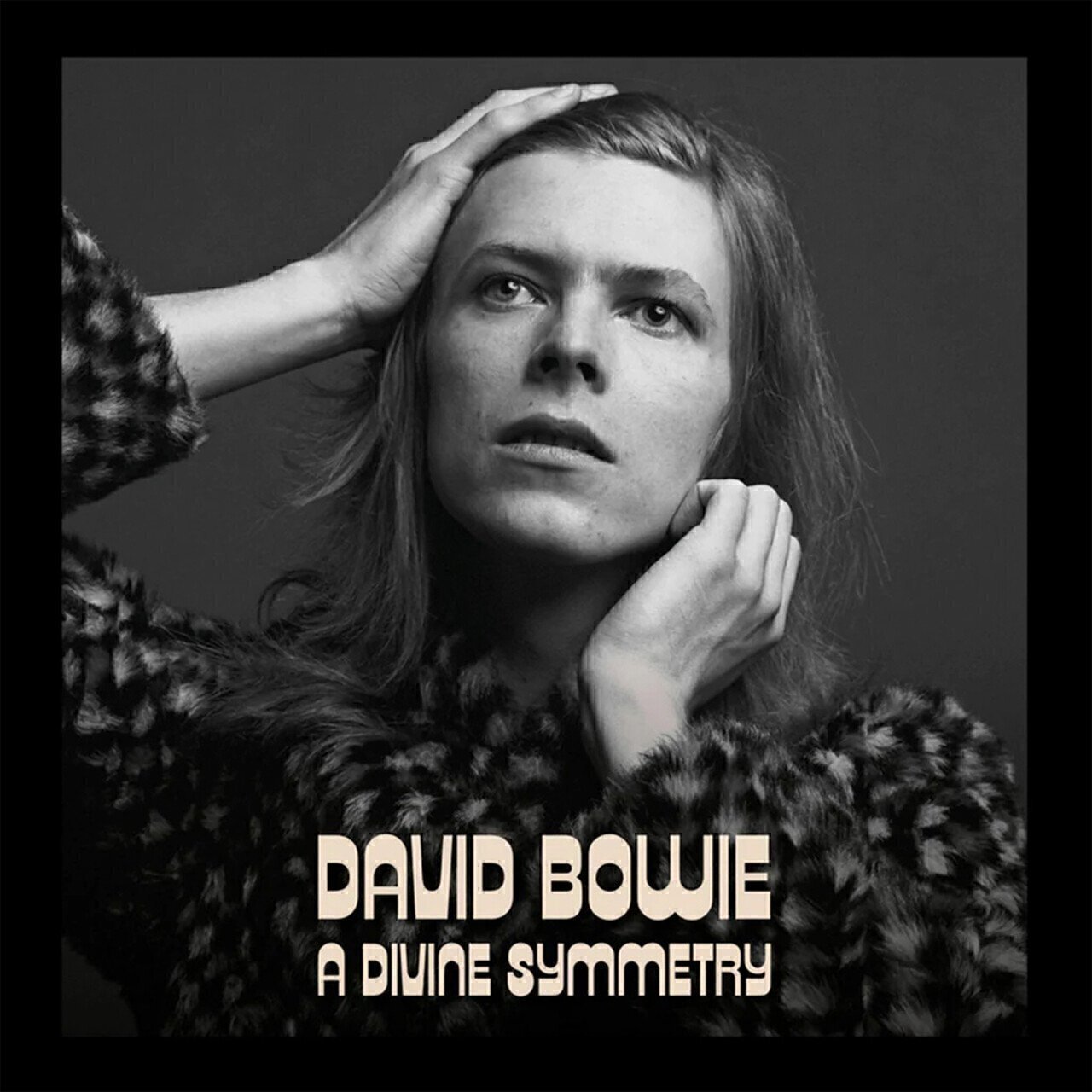 

David Bowie A Divine Symmetry (LP)