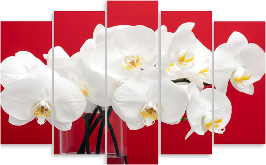 Картина модульная на холсте Модулка Белые орхидеи 90x57 см