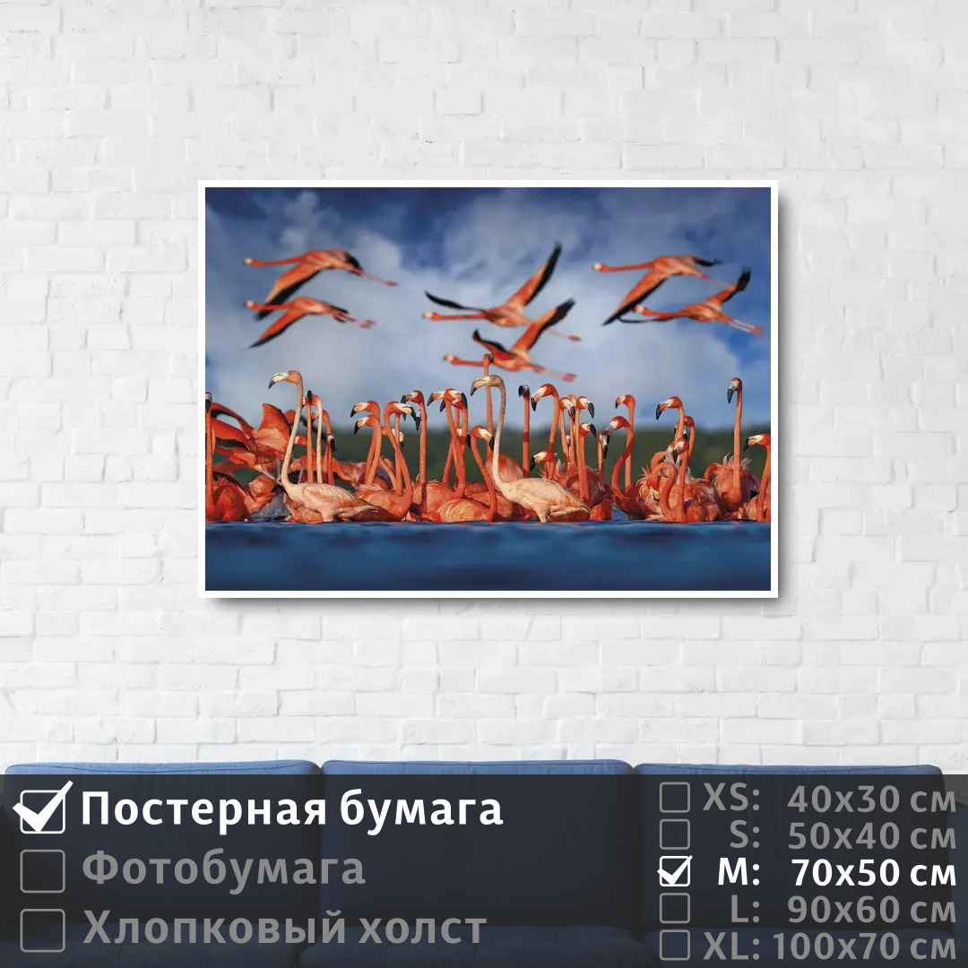 

Постер на стену ПолиЦентр Стая розовых фламинго у берега 70х50 см, СтаяРозовыхФламингоУБерега