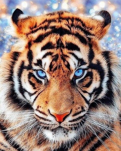 Цветной мир ярких идей Алмазная вышивка Взгляд тигра LG297, 40x50 см