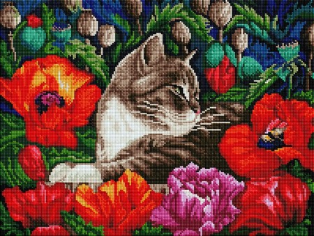 

PaintBoy Алмазная вышивка Кот в маках UA237, 40x50 см