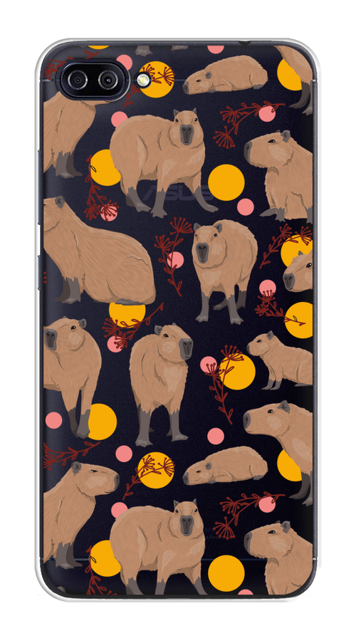 Чехол на Asus Zenfone 4 Max ZC520KL 