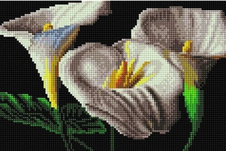 

PaintBoy Алмазная вышивка Каллы UD138, 20x30 см