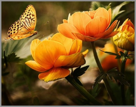 фото Милато алмазная вышивка огненный цветок diy-ml-21, 40x50 см