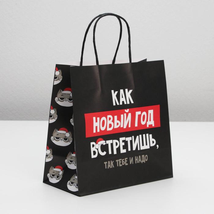 

Пакет подарочный Так тебе и надо, 22 х 22 х 11 см, Черный