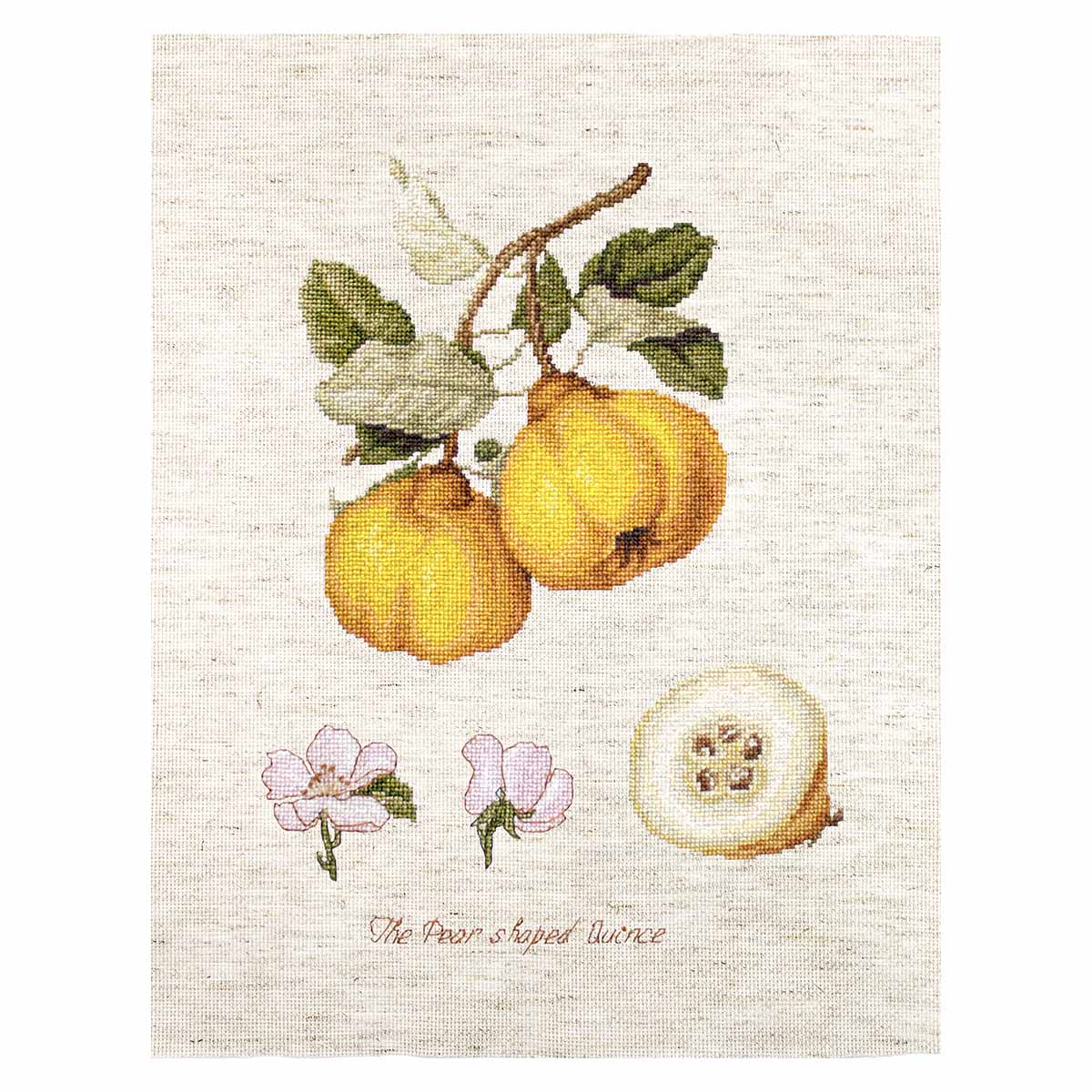 

Набор для вышивания Luca-S 'Айва' (BL22430)Ю 18,5*25 см