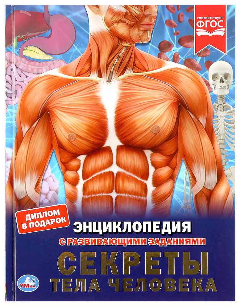 

Детская энциклопедия Умка «Секреты тела человека» А4 твердый переплет