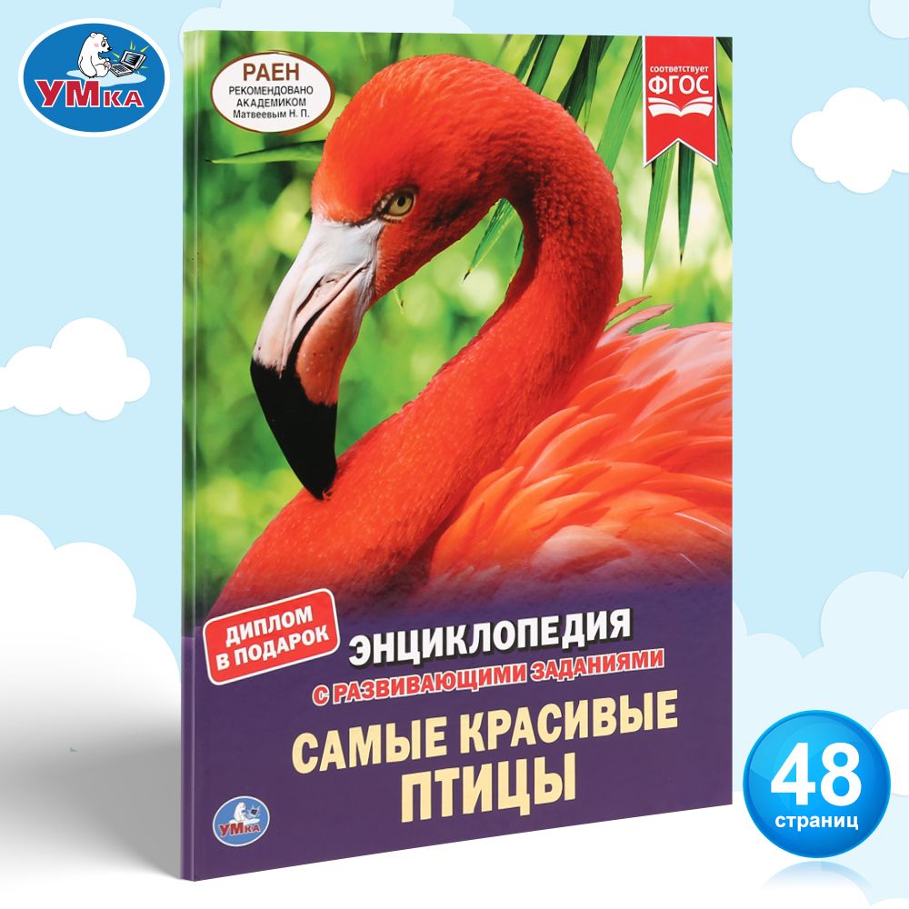 

Детская энциклопедия Умка «Самые красивые птицы» А4 с развивающими заданиями